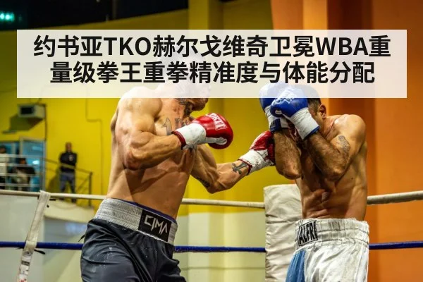约书亚TKO赫尔戈维奇卫冕WBA重量级拳王重拳精准度与体能分配